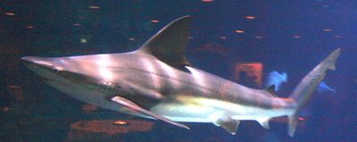 IMG 0893.JPG