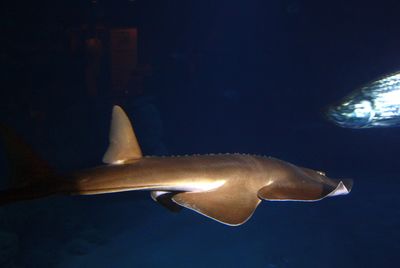 IMG 0848.JPG